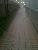 大泉雨1