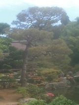 京都5