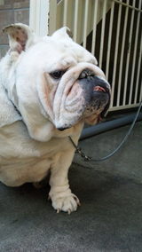 0fee83de.jpg