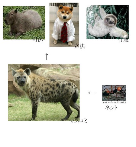 権力構造図