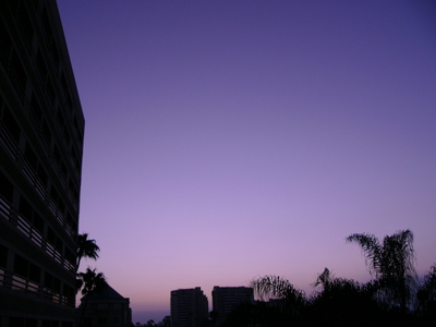 color m