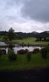 275c4b8c.jpg