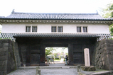1641e64e.jpg