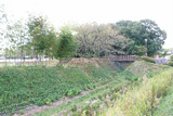 c462b0b9.jpg
