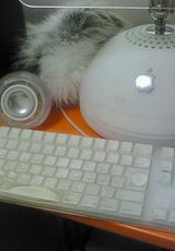 20071228.jpg