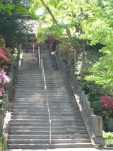 P1000626