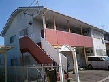 ���꡼��������롦����