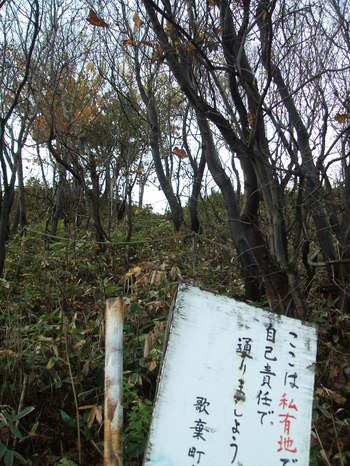 DSCF3495