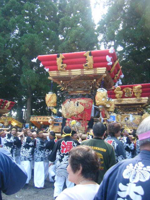 BLOG6016