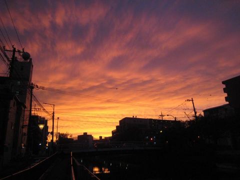 Sunset01