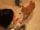 ���襤�����Ф����