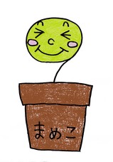 マメ子ちゃん