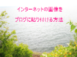 れぽ1