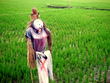 ubud