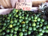 okinawa 049