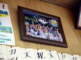 �ɥ饴��
