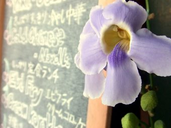 ��˥塼�β־���