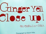 GINGER 004