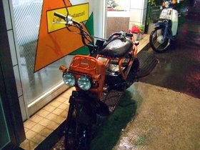 �����ѡ����֤����襤����