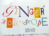 GINGER 008