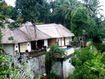 puri uwandari