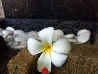 ���ũ�뤪��