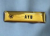 AYU