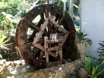 okinawa 036