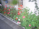01a2d591.jpg
