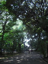 062c8dcd.jpg