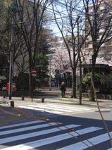08032719