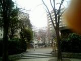 20719a92.JPG