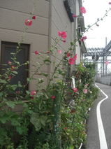 23f92758.jpg
