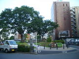 27451e11.jpg