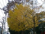 2b339c05.jpg