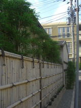 332c9e95.jpg