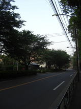 38c329b6.jpg