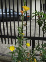 38f6d434.jpg