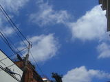 3c6a4745.jpg