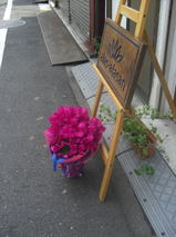 572f34c7.jpg