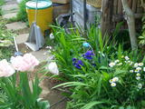597a0b27.jpg