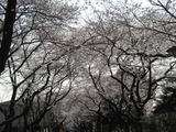 5a06f0f2.jpg