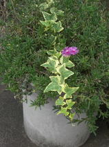 5b30f289.jpg