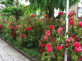 6473a899.jpg