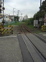 67deb025.jpg