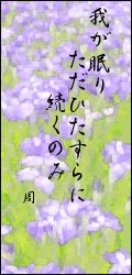 71ae4a55.png