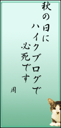 842a6218.png