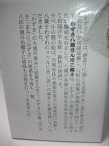 8739300b.jpg