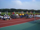 8a3136b6.jpg