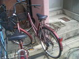 8c424d8d.jpg
